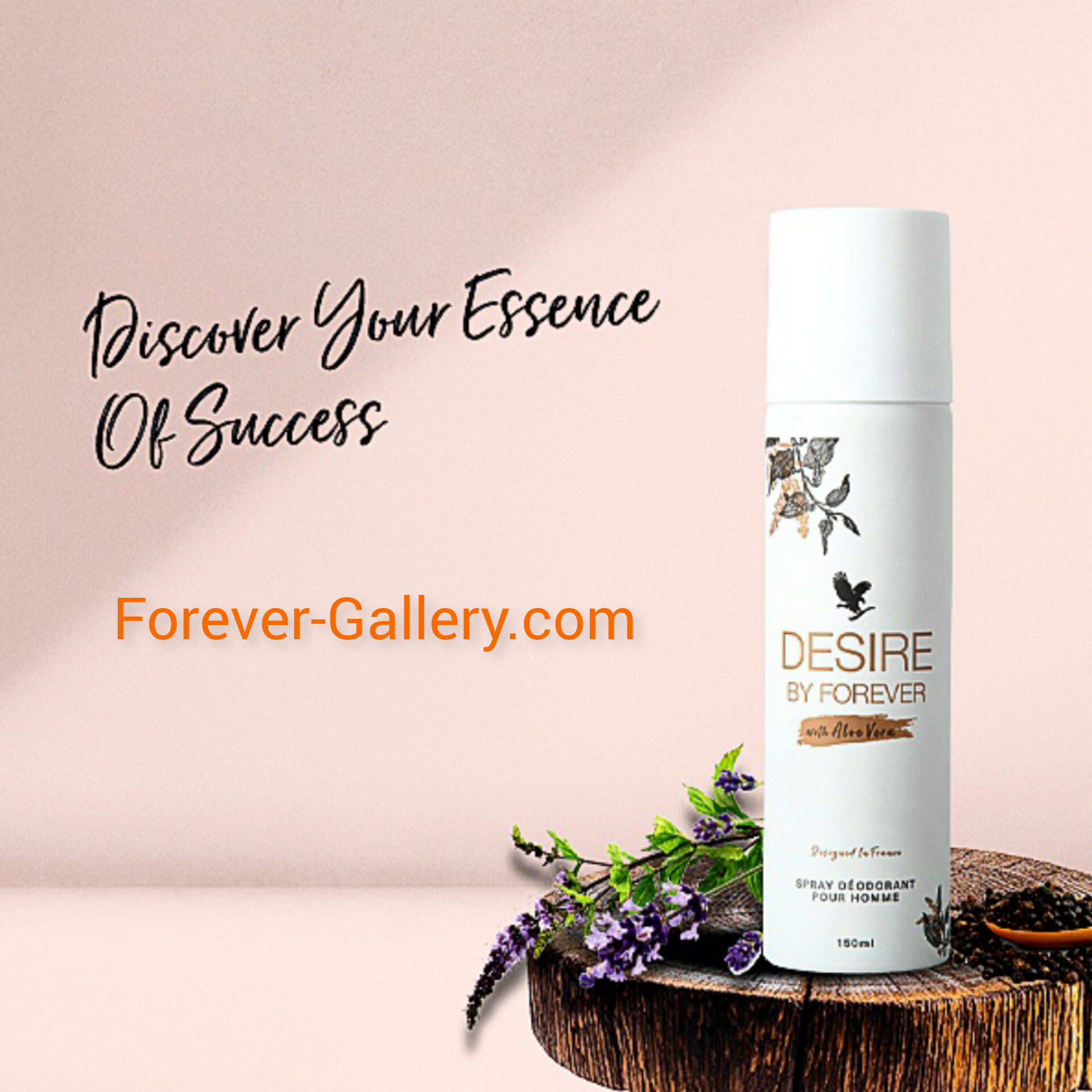 InShot_۲۰۲۵۰۱۱۹_۱۱۴۴۱۲۱۴۳